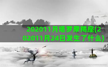 202011月塔罗摩羯座(202011月24日发生了什么)