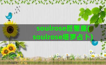 soulrose巨蟹座(soulrose塔罗占卜)